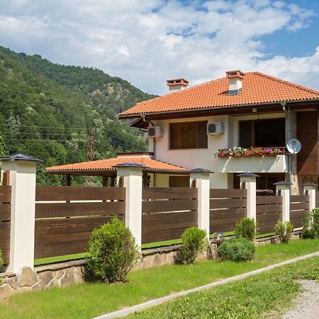 Guest House Vitora Ribaritsa Exteriér fotografie