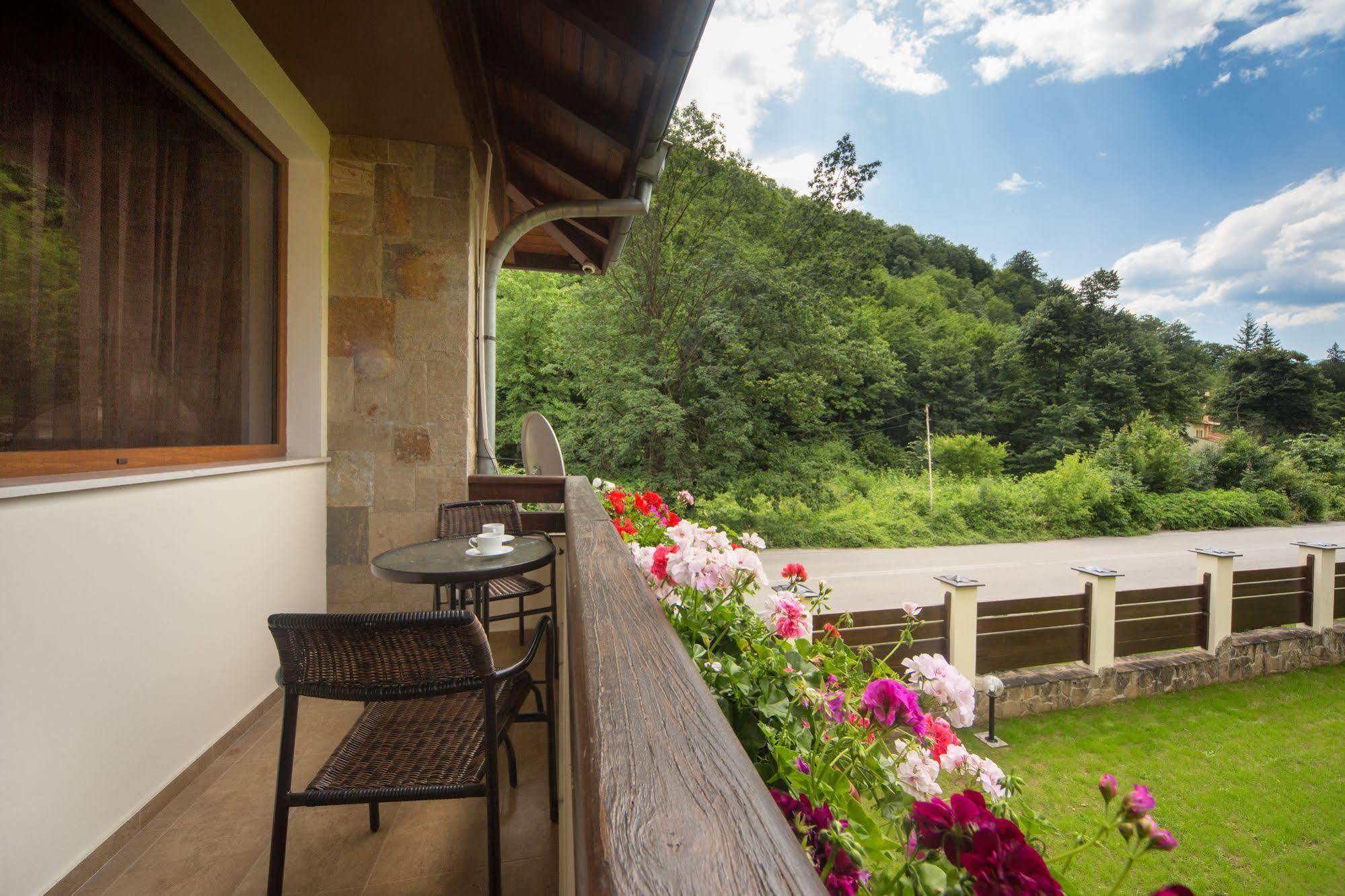 Guest House Vitora Ribaritsa Exteriér fotografie